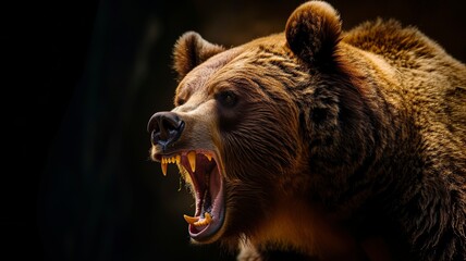 Wall Mural - Aggressive Grizzly Bear