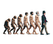Vintage Evolutionary Chart of Human Origins from Apes to Homo sapiens
