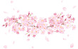 桜と水彩イラストで構成した装飾フレーム。見出し装飾。