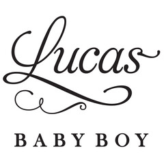 Wall Mural - lucas baby boy sign design name text word font swirl baby lucas