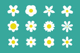 Fototapeta Dinusie - White Daisy Chamomile silhouette icon set. Camomile big set.Cute round flower plant collection. Love card symbol. Simple different shape. Growing concept. Flat design. Isolated. Green background.