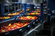 Food production process in a plant. Production of peppers