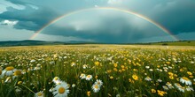 Vibrant Rainbow Arcing Over A Wildflower Meadow. Natural Beauty Captured. Perfect For Backgrounds And Calendars. AI