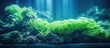Green cyanobacteria attached on the rock in reef aquarium tank. Creative Banner. Copyspace image