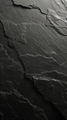 Canvas Print - Black slate texture background