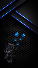 Creative Illustration With Black Rose And Blue Butterflies.