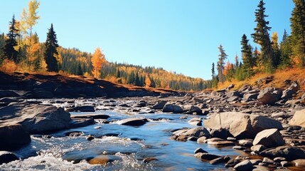Wall Mural - A picture of a river running through a forest filled with rocks. This image can be used to depict the beauty and tranquility of nature