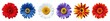 © Nabarun - Beautiful many coloured blooming daisy or chamomile flowers set isolated on transparent background. Generative AI