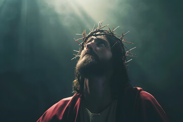 Jesus Christ in the crown of thorns