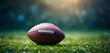 © ND STOCK - American football Ball green field in American football stadium