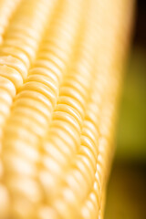 Wall Mural - Green corn, beautiful green corn cobs on rustic wood, selective focus.