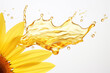 splash of sunflower oil on white background