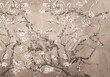 Oil painting flowering twigs. llustration for wallpaper, mural, card, dpoter, interior decoration. Van Gogh style.