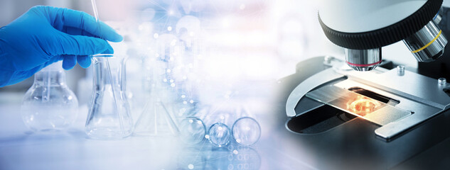 Wall Mural - hand of scientist or researcher wearing blue glove working with flask in medical health science labo