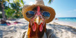 Funny image of chicken wearing a straw hat and sunglasses on the sunny beach. Holliday summer conception