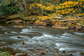 Moving water on small stream in the Fall