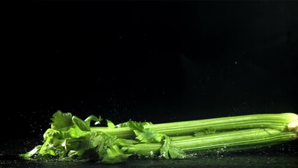 Sticker - Celery sprigs fall on a wet table. Filmed on a high-speed camera at 1000 fps. High quality FullHD footage