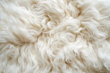 Soft White Texture Background Cotton Wool Light Sheep Wool Close Up Fluffy Fur Beige Toned Wool Delicate Peach Tinted Fur