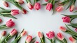 Pink tulips on white background top view. Springtime banner with flowers. Flowers composition.