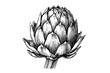 Artichoke engraved, great design for any purposes. Organic food. Handmade drawing. Vector icon.