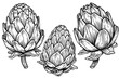 Artichoke engraved, great design for any purposes. Organic food. Handmade drawing. Vector icon