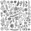 Set of Vector Plants and Flowers Drawn by Hand