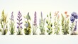 Rosemary, mint, lavender, sage and thyme collection. Creative banner with fresh herbs bunch on white background.