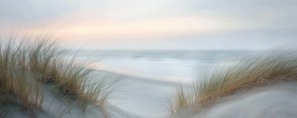  Sand dunes, minimalistic foggy shoreline