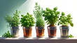 © svf74 - Aromatic garden herbs in pots on white background. Mint,oregano,coriander, rosemary,basil,parsley dill and thyme. Generative AI.