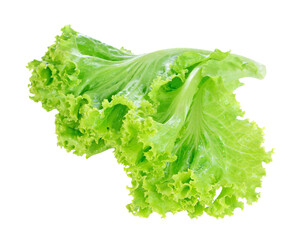 Sticker - Fresh green lettuce transparent png