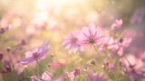 Fototapeta Kwiaty - Blooming Flowers in Soft Spring Light