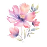 Fototapeta Motyle - watercolor flowers, illustrations in handmade watercolor style on a white background, generative ai	