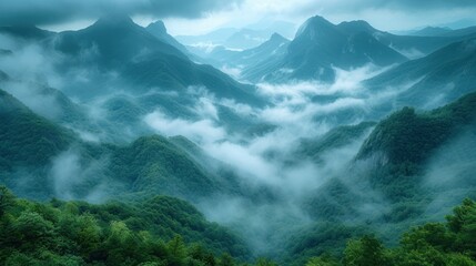 Wall Mural -  a view of a mountain range covered in fog and low lying clouds in the foreground, with trees in the foreground, and mountains in the background, with low lying clouds in the foreground.