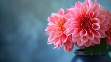Pink Chrysanthemum In A Vase