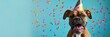 Happy boxer puppy dog wearing birthday hat with colorful confetti on blue background and plenty of copy space