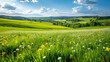 A rolling countryside with wildflowers in spring.