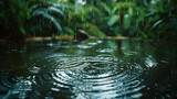 Fototapeta  - A torrential downpour in a tropical location.