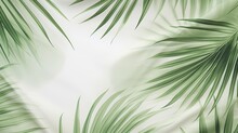 Blurred Green Palm Leaves On Off White