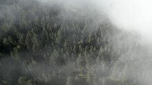 Aerial Footage Over The Trees Covered By Mist In The Mountain Forest Nature. This Nature Landscape Aerial Shot Is Made With A Dji Mini 3 Pro In Olympus Mountains, Greece, With A Mist Starting To Cover