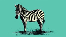  A Black And White Zebra Standing On Top Of A Puddle Of Water On A Teal Green Background With A Black And White Stripe On The Side Of The Zebra.
