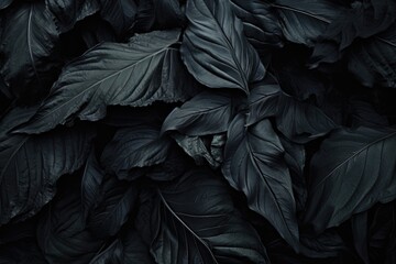 Poster - A close-up view of a bunch of leaves. This image can be used to add a natural touch to various projects