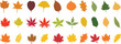 Fall leaves icon in flat style set. isolated on transparent background. Various fallen leaves autumn concept. Maple tree leaf. Seasonal holiday thanksgiving greeting card. vector for apps website