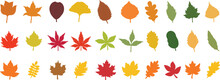 Fall Leaves Icon In Flat Style Set. Isolated On Transparent Background. Various Fallen Leaves Autumn Concept. Maple Tree Leaf. Seasonal Holiday Thanksgiving Greeting Card. Vector For Apps Website