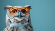  a close up of an owl with glasses on it's head and an eye patch in the middle of the owl's eye, with a blue background.