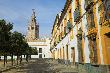 Wall Mural - sevilla giralda catedral plaza patio de banderas 4M0A5493-as24