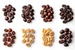 Infographic illustrating coffee roasting stages from green to dark roast with isolated beans on white background