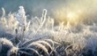 abstract natural background from frozen plant covered with hoarfrost or rime