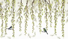 Willow Branches Hanging From Above With Birds On A White Background Wallpaper Murals And Wall Paintings For Interior Printing