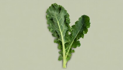 Sticker - fresh green leaves of kale green vegetable leaves isolated on a background