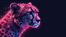  A Close Up Of A Cheetah's Face On A Black Background With A Pink And Blue Pattern On The Left Side Of The Cheetah Cheetah's Face.
